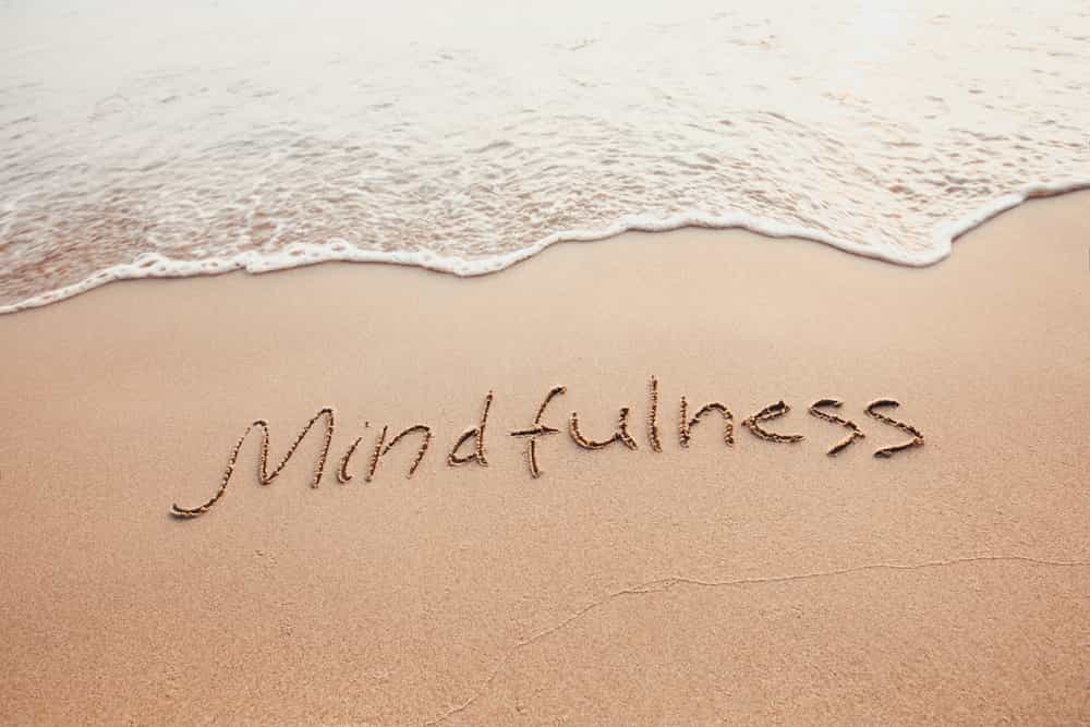 Oefen Mindfulness -Veerkracht - het wapen tegen burn-out